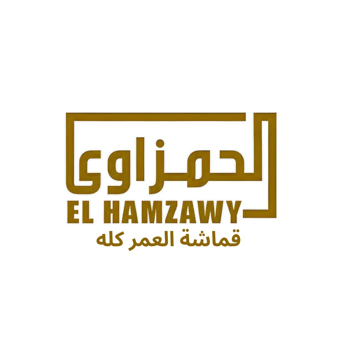 El Hamzawy